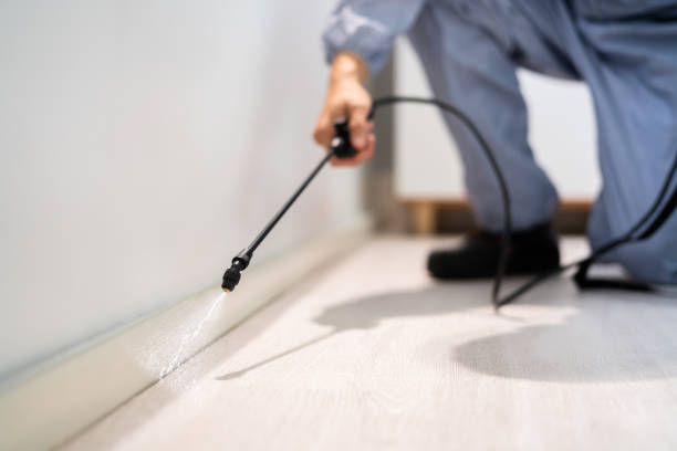 Licensed Pest Control service in Hebbronville, TX - Show Me Pest Control